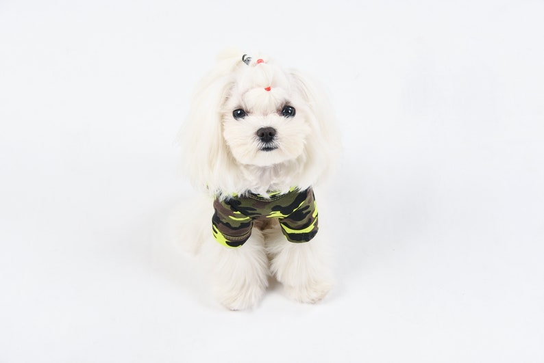 Dog Shirt PetMan Green and Yellow Camouflage Dog T-Shirt Dog Clothes Dog Tee
