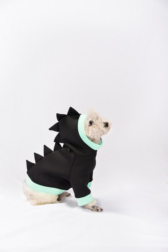 dog dinosaur hoodie