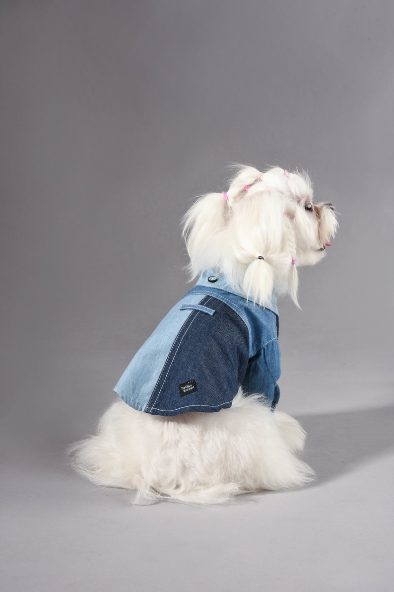 Petman Blue Denim Dog Shirt Dog Shirt Dog Clothes Cool Dog Etsy