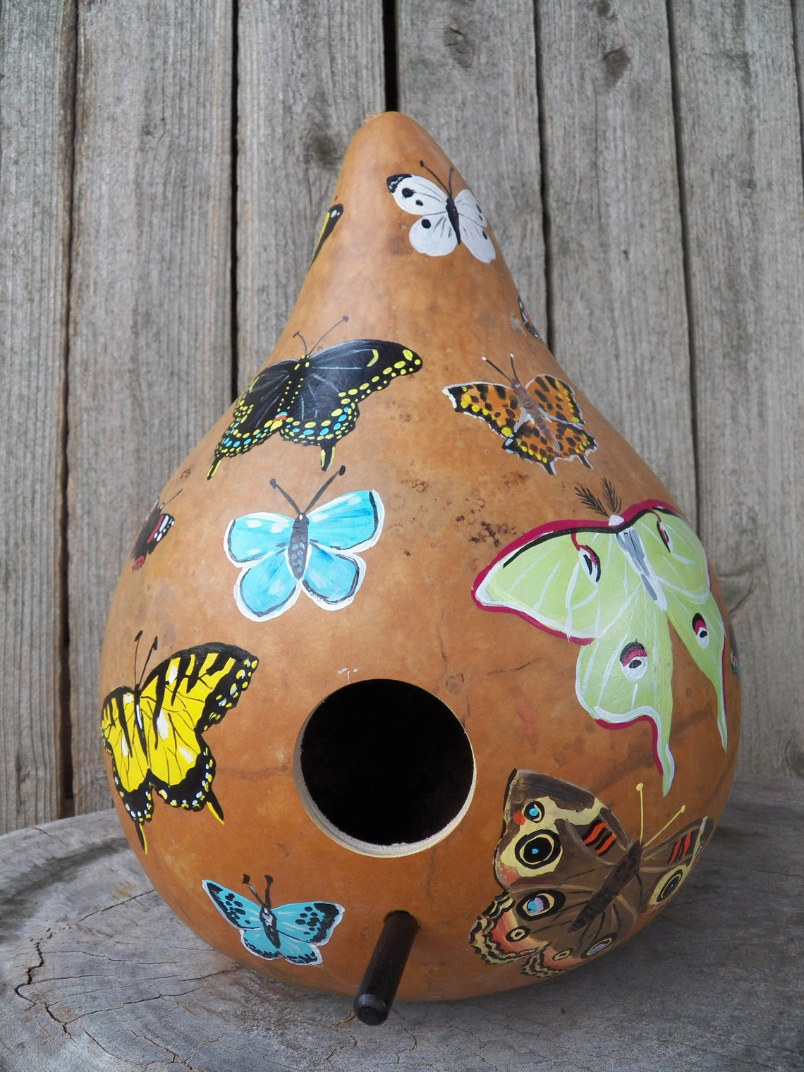 Hand painted dried gourd birdhouse for indoor or outdoor use Etsy