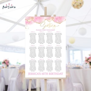 Roze verjaardag zitplaatsen grafieksjabloon, meisjes feest tafel zitplaatsen plan afdrukbare, dames evenementen agaat decor, bewerkbare download 24 x 36 P488