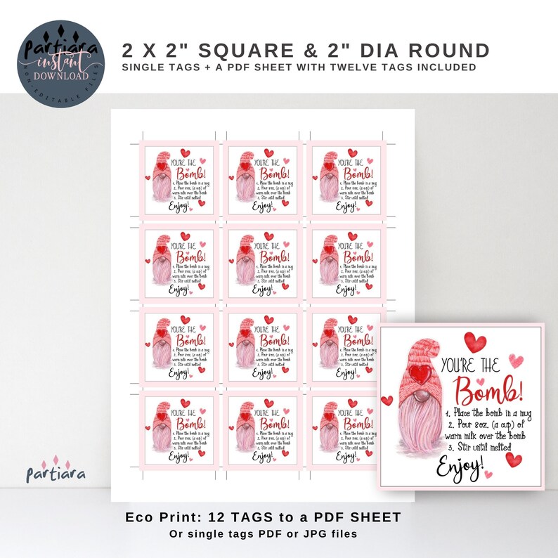 Hot Chocolate Bomb Tag Hot Cocoa Bomb Instructions Favor Gift Tag Printable P121 Instant Download Valentine/'s Day You/'re The Bomb Tags