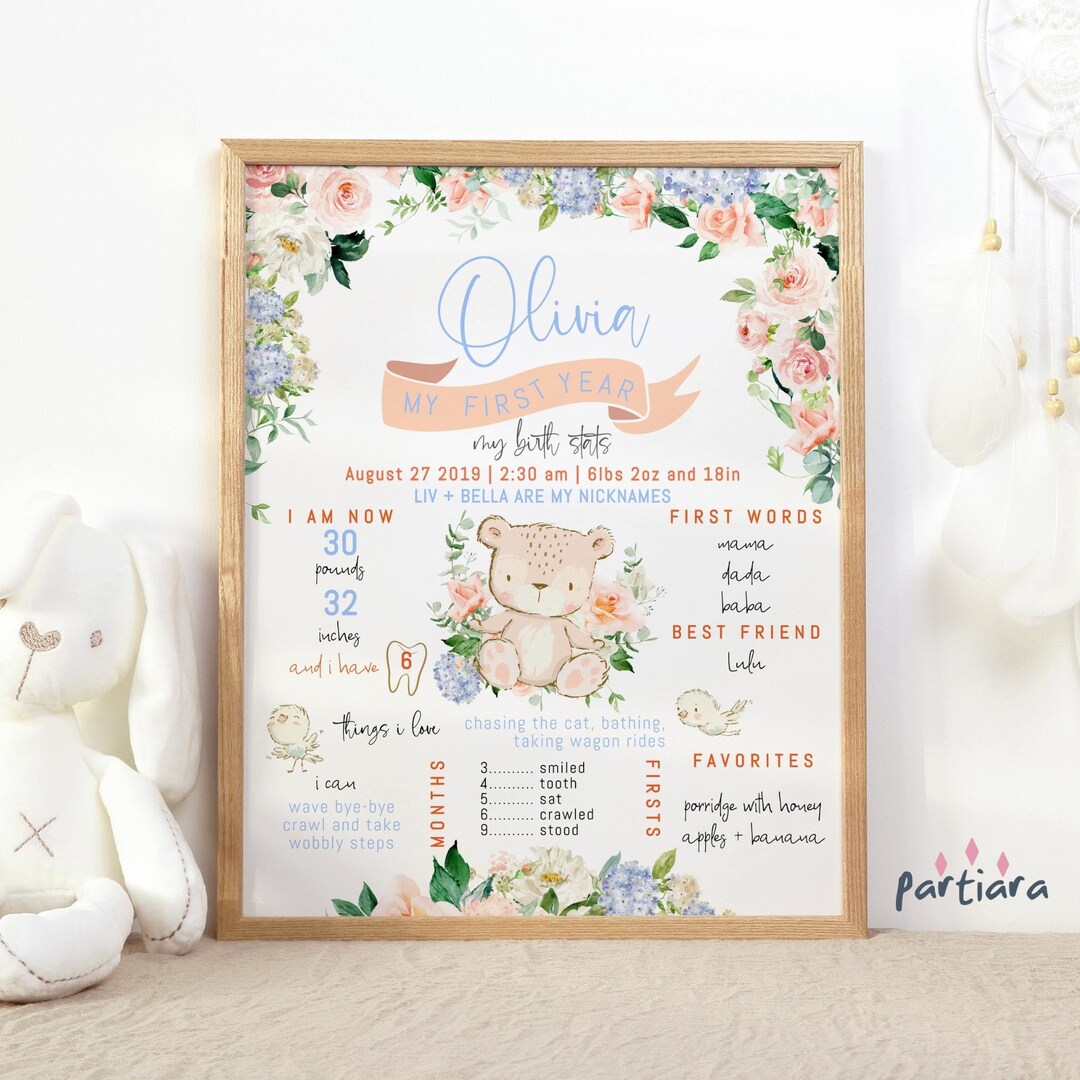 Girl Teddy Bear 1st Birthday Sign Milestone Printable Birth Stats ...