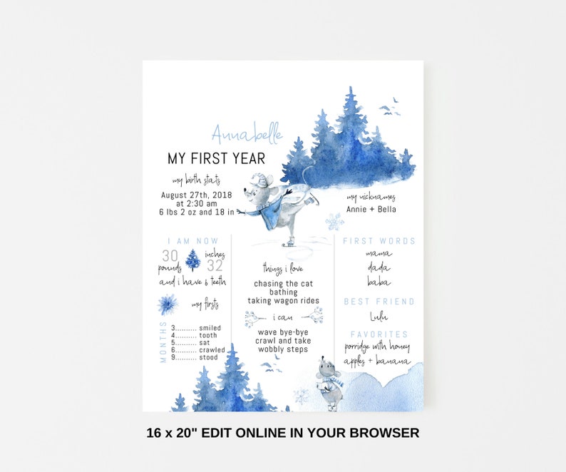 Boy or Girl/'s Milestone Poster Board Printable Editable Winter 1st Birthday Party Milestone Sign Blue and White Forest Landscape with Mice
