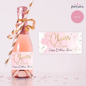 Pastel Pink Mini Wine Label Template, Cheers to 40 Years Printable, Ladies 40th Birthday Party Favor Gifts Tag, Editable Download P458