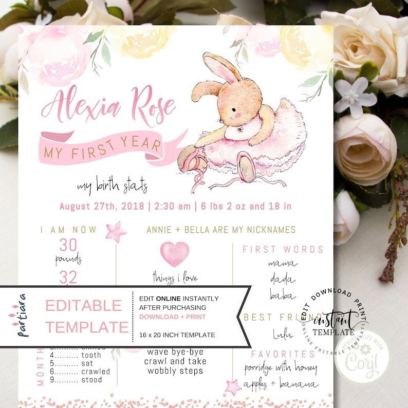 Baby Girl/'s First Birthday Party Memento Poster Ballet Rabbit Pastel Pink Floral P62 Bunny 1st Birthday Milestone Sign Board Printable