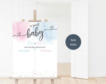Gender Reveal Party Sign, Baby Shower Voting Games Poster Printable, Reveal Party Decorations, Pastel Blue Pink Smoke Clouds Editable P16