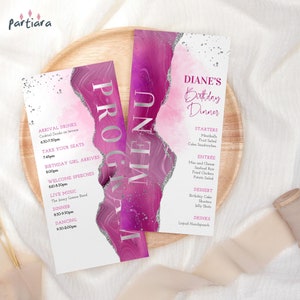 Pink Birthday Program, Dinner Party Menus and Table Programs Printable, Teen Girls or Ladies Events, Shades of Pink Decor, Editable P700
