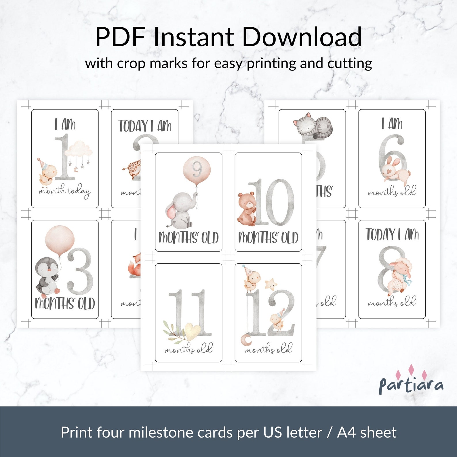 DIY Baby Milestone Cards Printable Gender Neutral Keepsake | Etsy