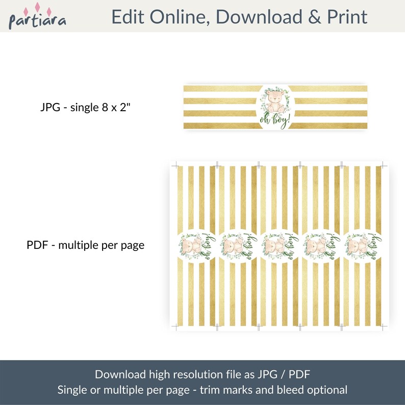 Boy Teddy Bear Picnic Party Water Bottle Labels Printable Baby Etsy
