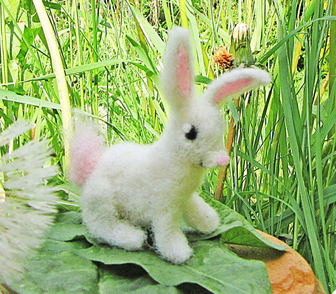 White Rabbit Needle Felting Kit: Beginner-friendly Bunny Craft - Etsy