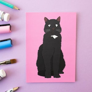Doris il gatto strabico cartolina divertente A6 - Illustrazione di gatto carina e stravagante - Studio Cat-She