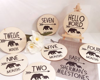 BABY MILESTONE DISCS photo props babies first year