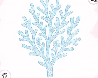 Blue Coral Branch Line Art: Coastal PNG Clipart (Digital Download)
