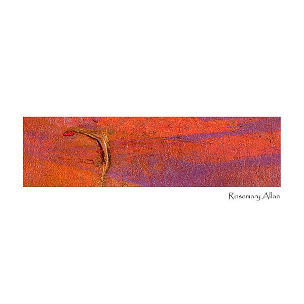 Abstract Giclée Print - Love on Orange, Purple, Gold with Red      PRA - 007