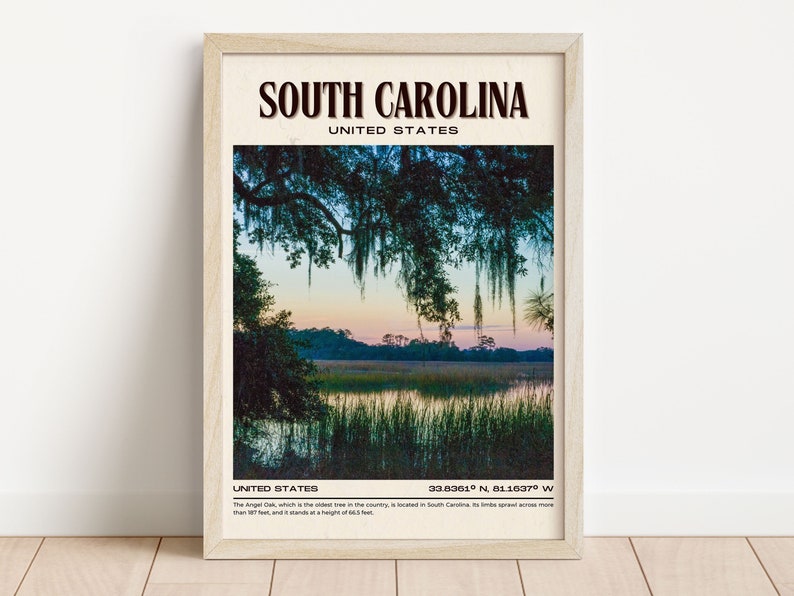 South Carolina Vintage Wall Art, South Carolina Canvas, South Carolina Framed Poster, South Carolina Poster Print, South Carolina Wall Decor image 3