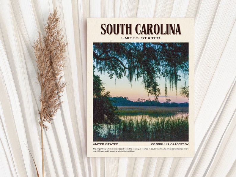 South Carolina Vintage Wall Art, South Carolina Canvas, South Carolina Framed Poster, South Carolina Poster Print, South Carolina Wall Decor image 5