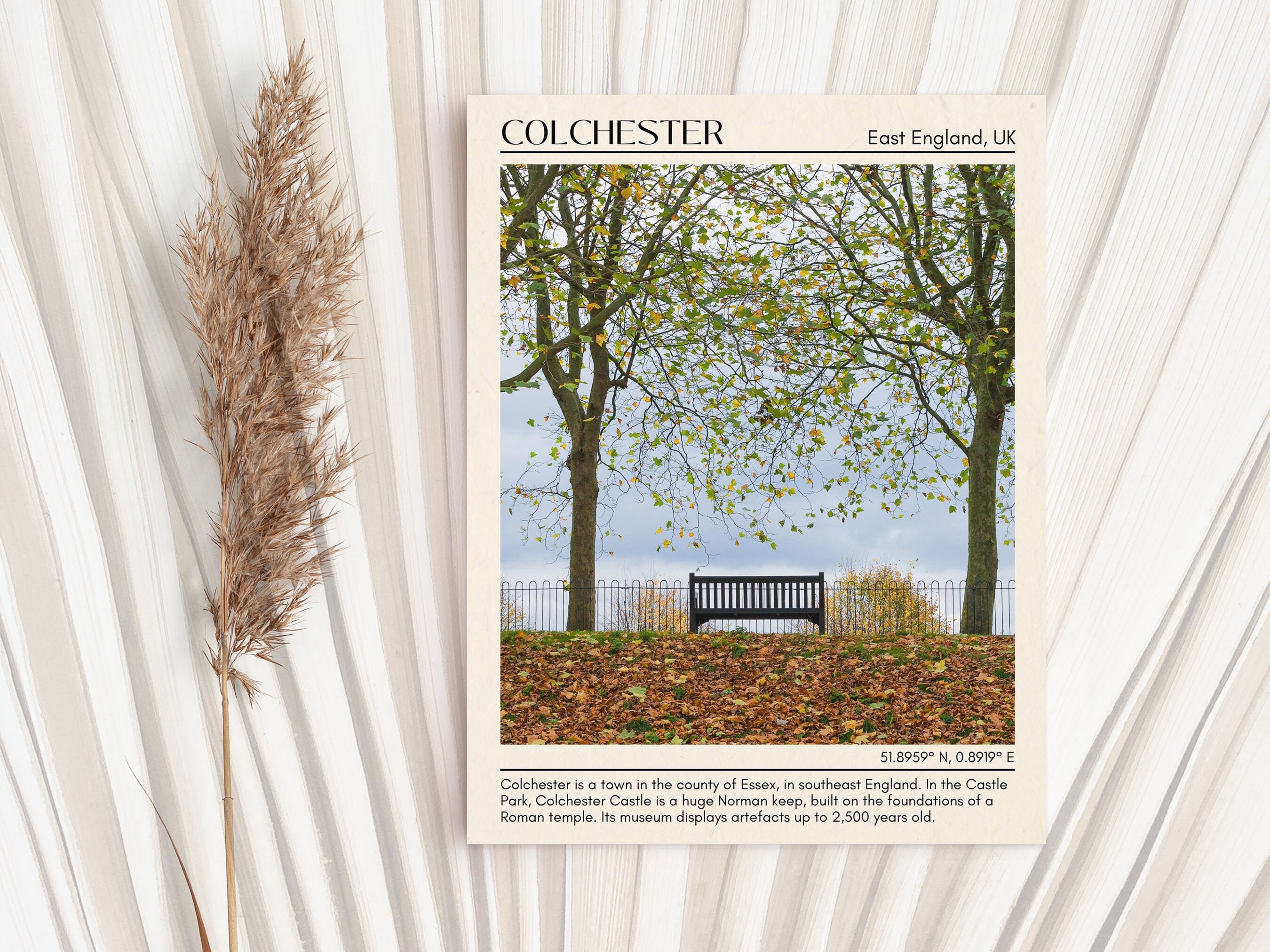 Colchester Wall Art Colchester Canvas Colchester Photo Etsy