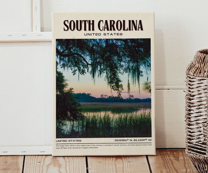 South Carolina Vintage Wall Art, South Carolina Canvas, South Carolina Framed Poster, South Carolina Poster Print, South Carolina Wall Decor image 6