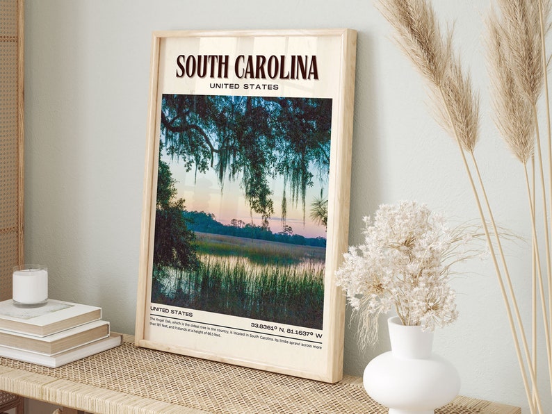 South Carolina Vintage Wall Art, South Carolina Canvas, South Carolina Framed Poster, South Carolina Poster Print, South Carolina Wall Decor image 8