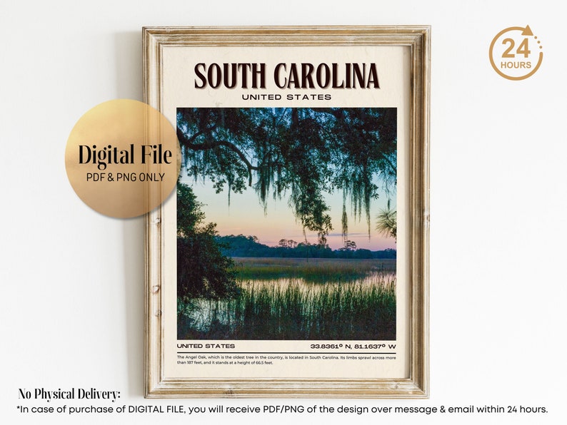 South Carolina Vintage Wall Art, South Carolina Canvas, South Carolina Framed Poster, South Carolina Poster Print, South Carolina Wall Decor image 10