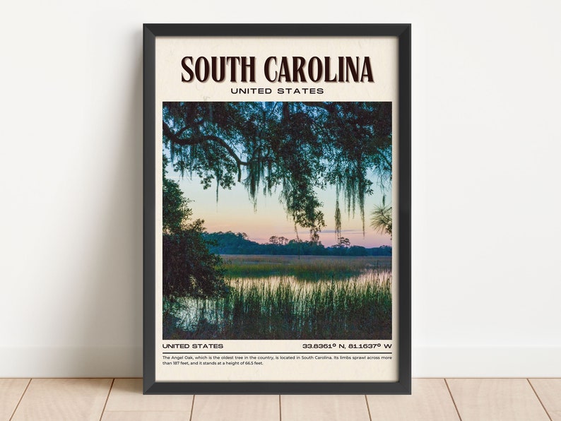 South Carolina Vintage Wall Art, South Carolina Canvas, South Carolina Framed Poster, South Carolina Poster Print, South Carolina Wall Decor image 1