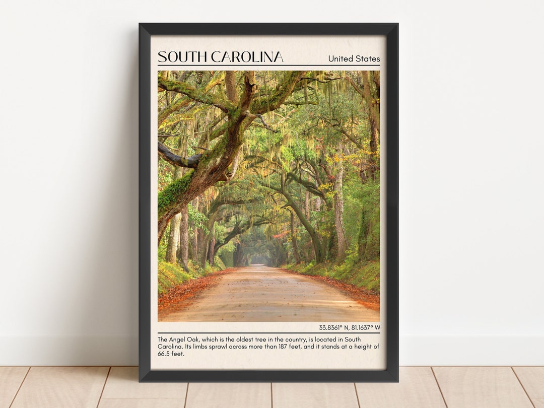South Carolina Art, South Carolina Canvas, South Carolina Framed Poster