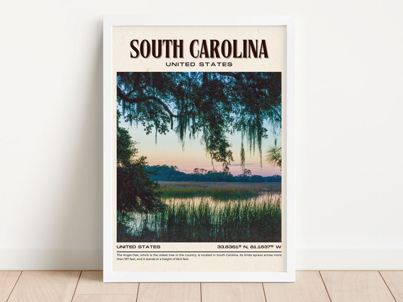 South Carolina Vintage Wall Art, South Carolina Canvas, South Carolina Framed Poster, South Carolina Poster Print, South Carolina Wall Decor image 2