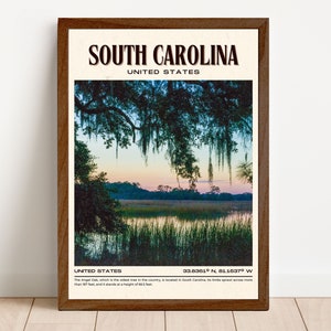 South Carolina Vintage Wall Art, South Carolina Canvas, South Carolina Framed Poster, South Carolina Poster Print, South Carolina Wall Decor image 4