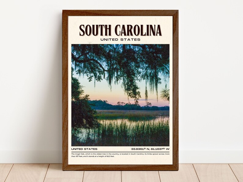 South Carolina Vintage Wall Art, South Carolina Canvas, South Carolina Framed Poster, South Carolina Poster Print, South Carolina Wall Decor image 4