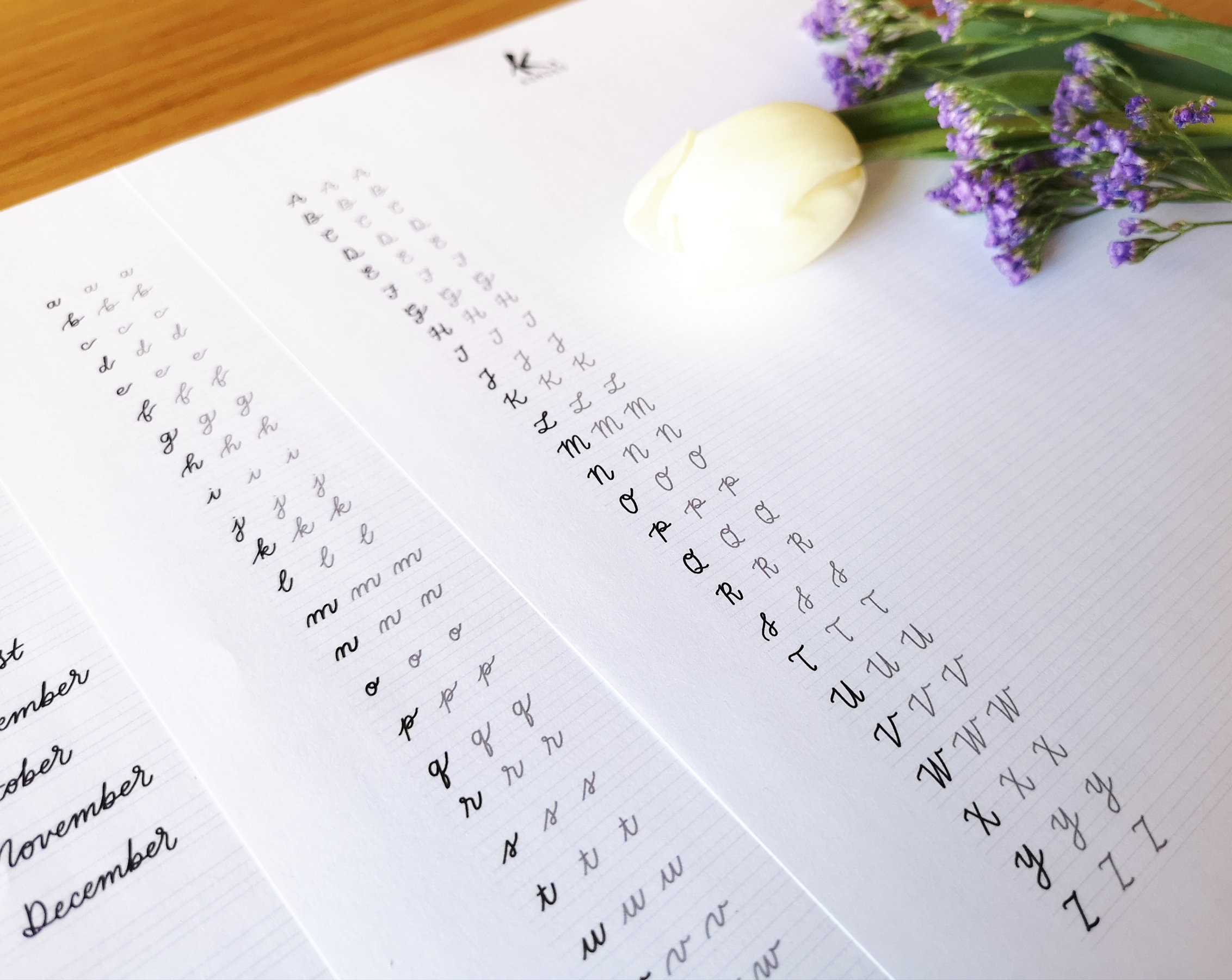 Cursive Writing Practice: Handwritten Calligraphy Workbook (PDF, JPG ...
