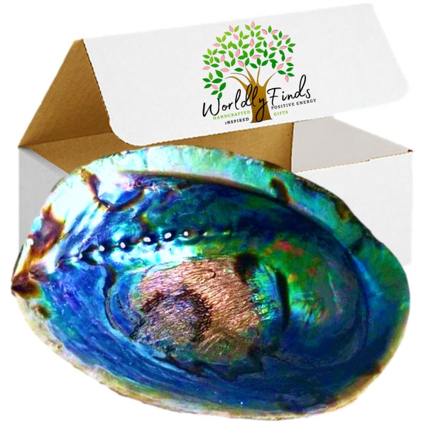 BEAUTIFUL XL Hand Selected, 3 Sizes, Class A++, Large Abalone Shell Smudge Bowl, Stand Option for Smudging - Value Pricing & Free Shipping!