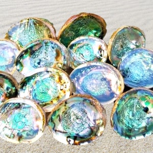 IMPERFECT Vibrant 6+&quot; or 5+&quot; Large Abalone Shells, Discounted! Abalone Shell Sage Burning Smudge Bowl Dish, Crystal Holder, Smudging Bowl