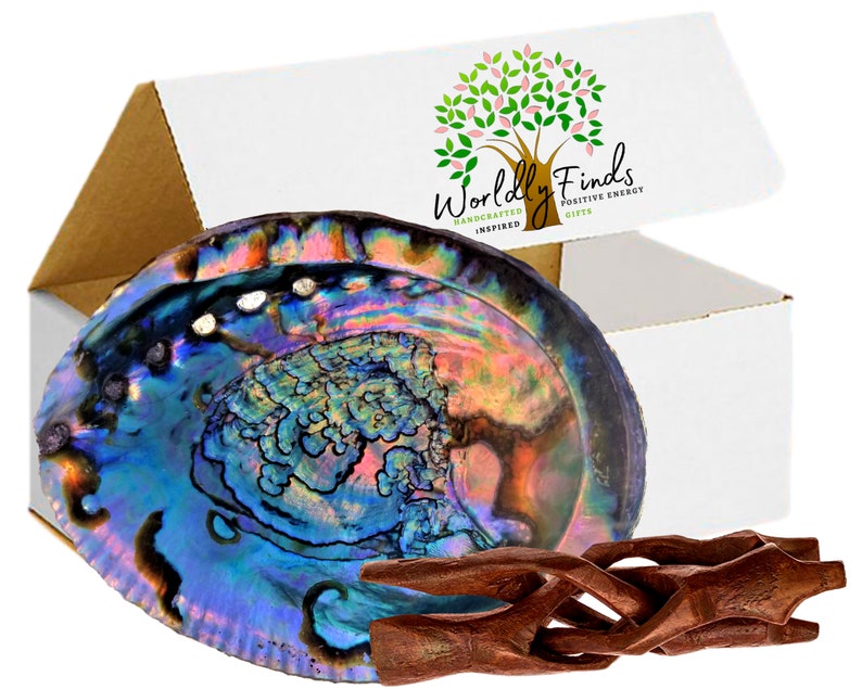 BEAUTIFUL XL Hand Selected, 5 Sizes, Class A++, Large Abalone Shell Smudge Bowl, Stand Option for Smudging - Value Pricing & Free Shipping! 