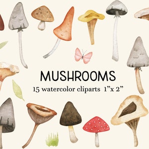 Set Png Funghi Magici, Pacchetto Funghi, Clipart Woodland, Download istantaneo, File digitali