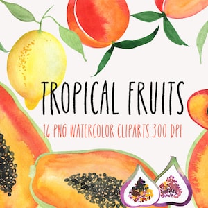 Cliparts de fruits tropicaux, papaye, pêche, citron, figue, téléchargement immédiat, aquarelle numérique mignon PNG