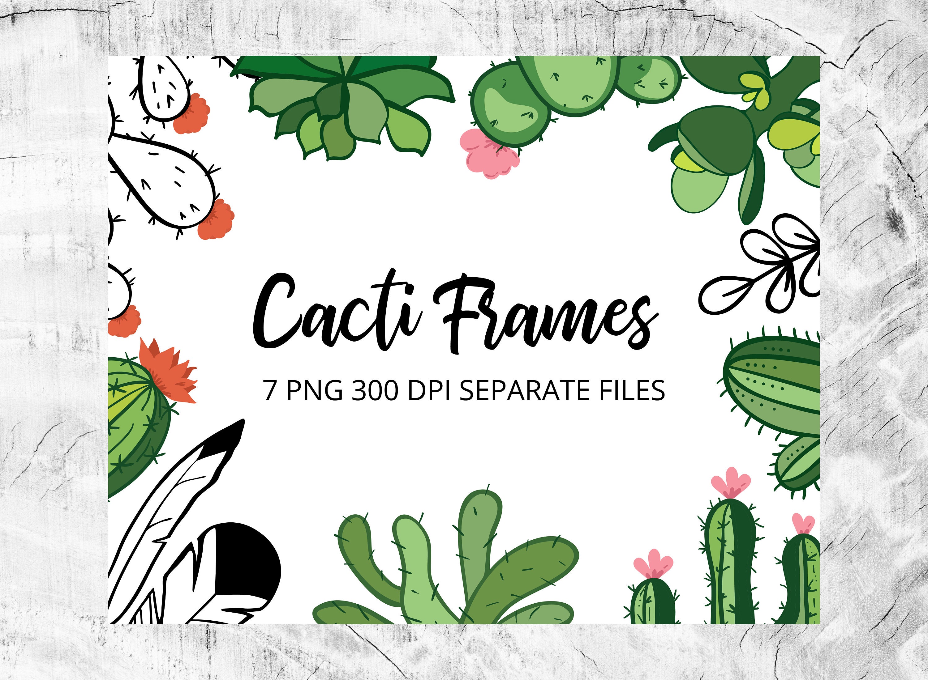 Hand Drawn Cactus Frames Cactus Greenery Frame Clip Art Etsy