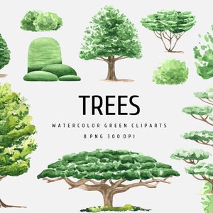 Clipart di alberi dell'acquerello, Clipart di alberi di pino, ClipArt di cespugli, Clipart di quercia, Clipart digitale dell'acquerello, Set grafico albero PNG, Download istantaneo
