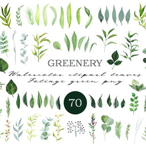 Feuilles de verdure Clipart aquarelle, branches, feuillage vert d'eucalyptus, fleurs peinture conception de cartes d'invitation de mariage PNG frais téléchargement immédiat