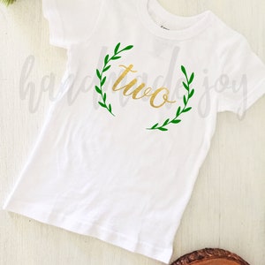 two svg, second birthday svg, second birthday shirt svg, second birthday cut file, birthday shirt svg, second birthday shirt design, cricut