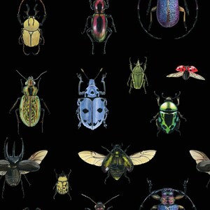 May include: A black background with a variety of colorful beetles, including green, blue, red, and yellow. The beetles are drawn in a realistic style and have intricate details.