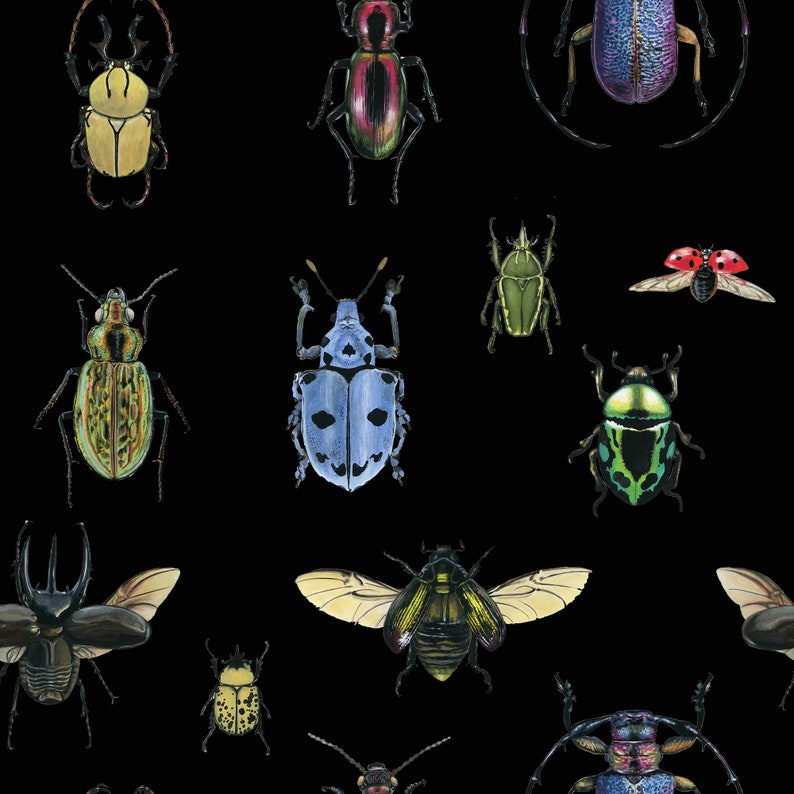 May include: A black background with a variety of colorful beetles, including green, blue, red, and yellow. The beetles are drawn in a realistic style and have intricate details.