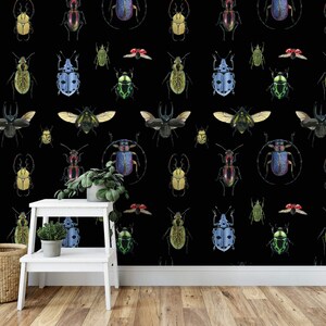 May include: Black and white wallpaper with a repeating pattern of colorful beetles. The beetles are in various poses, including flying, crawling, and standing. The wallpaper is perfect for adding a touch of whimsy to any room.