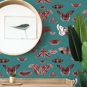 Removable MOTH Museum In TEAL WALLPAPER - Peel Stick And Traditional Self Adhesive Wallpaper