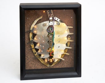 Robotic sculpture, Recycled Marine Life.