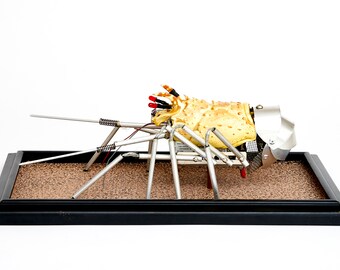 Robotic Sculpture, Recycled Marine Life