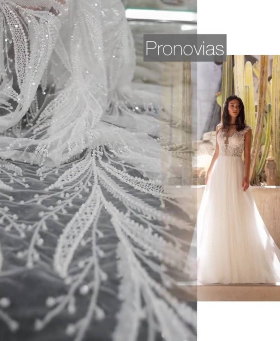 Ivory Embroidered Lace Sana