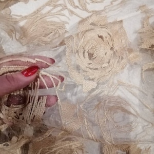 May include: Beige sheer fabric with embroidered rose patterns. The fabric is delicate and has a soft, flowing texture.