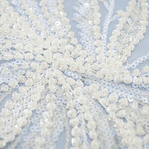 Ivory 3d Embroidered Lace Eb5034