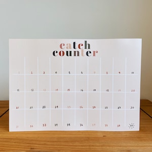 Student Midwife “Catch Counter”